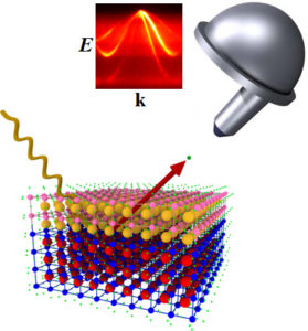 Figure 1 Cancellieri