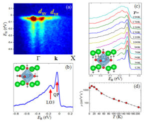 Figure 2 Cancellieri