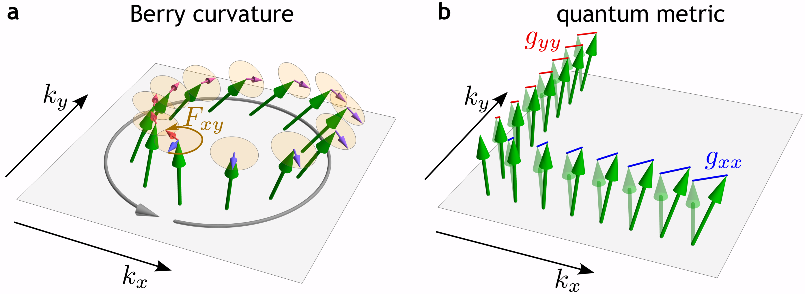 From quantum geometry to non-linear optics: recent advances in